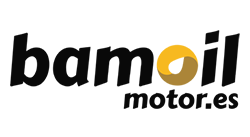 Bamoil Motor - Referencia ERP en la nube